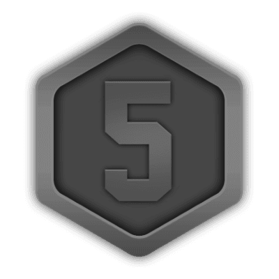 Level 5